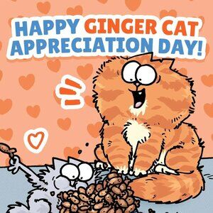 Meet your Posher, Gabbi